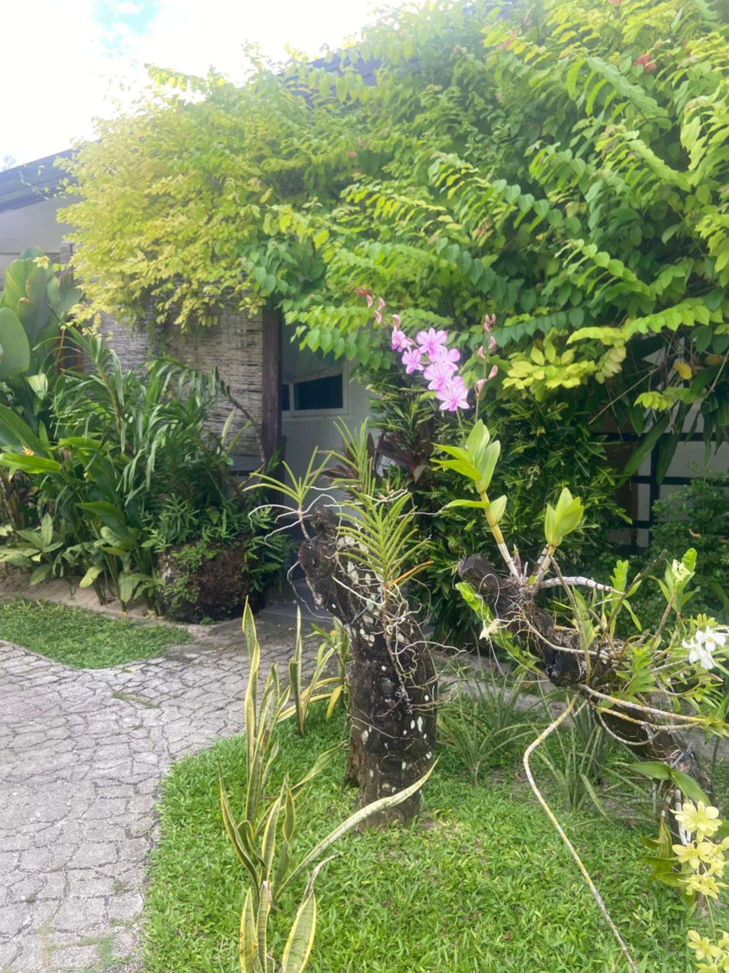 Vivo Siargao Hotel General Luna  Buitenkant foto